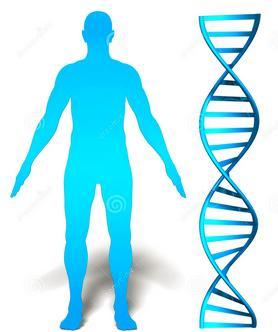 hardware DNA uses