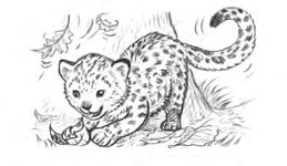 At the Zoo The leopard cub pounced on a fallen leaf and rolled onto its back. Oh, isn t he cute!