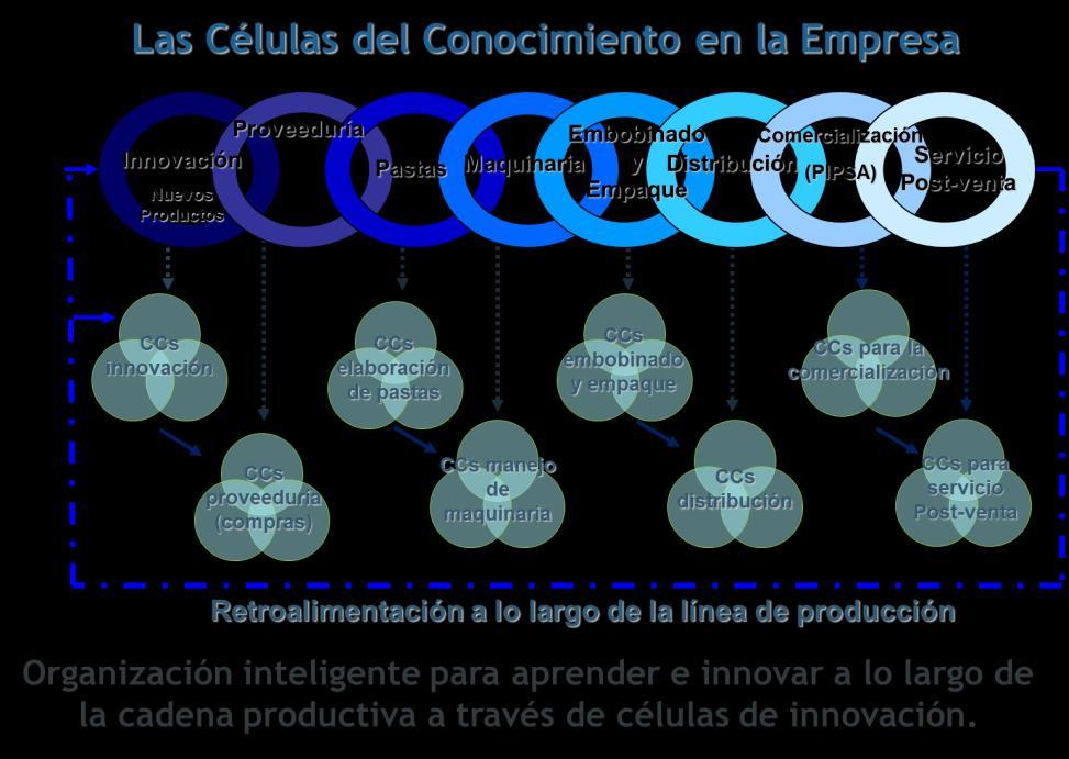 II. PIPSA Success cases: Companies Multiprocess- Multiproduct- Multihabilities Innovation in the production chain The key is