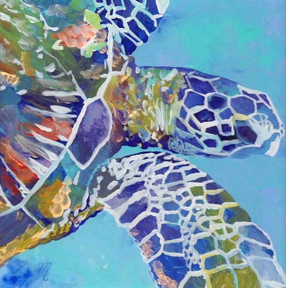 Honu means sea turtle in the Hawaiian language fish riding inside the wave itself.