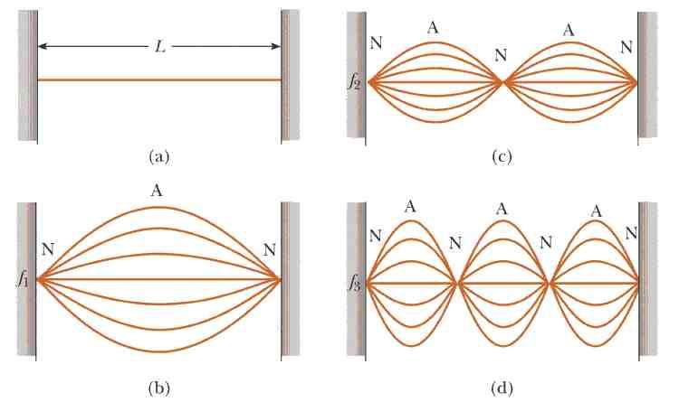 Introduction This lab and the next are based on the physics of waves and sound. In this lab, transverse waves on a string and both transverse and longitudinal waves on a slinky are studied.