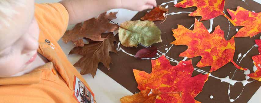 Leaf Collage leaves paper (fall colors) paint glue scissors Paint a piece of paper in fall colors. Let dry. Cut out in shapes of leaves.