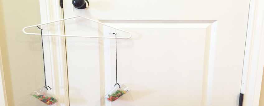 Coat Hanger Balance coat hanger string () plastic cups knife or hole punch small objects Punch a hole in the side of a plastic cup and tie a string to it