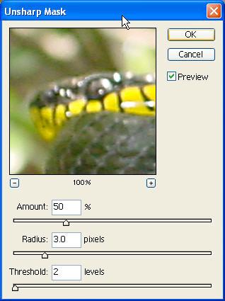 In this exercise we will look at the Sharpen and Unsharp Mask filters. Locate and open the image named mangrove_snake.jpg within the Digital Workshop Resources folder on your PC.
