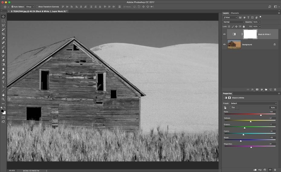 layer to convert the image to a monochromatic version that will provide the foundation for your color painting.