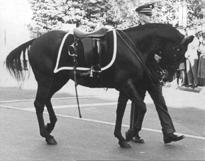 8 cm (MP# RL-D-1399) Russell Rudzwick Black Jack, JFK Funeral (1963),