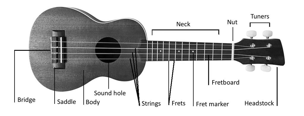 In this Cheat Sheet: Cheat Sheet #1: Care and Keeping of the Uke Anatomy of the ukulele (or, what do I call the parts of this thing)? What size ukulele should I play? How can I keep my uke in tune?