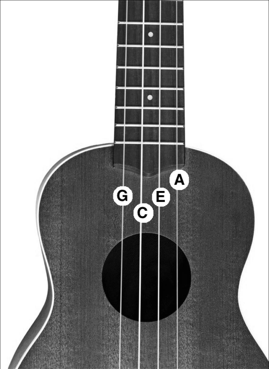 suggest the soprano, or, if you re a bit lankier, the concert size. In that spirit, these Cheat Sheets apply to soprano, concert, and tenor ukes only. How can I keep my uke in tune?