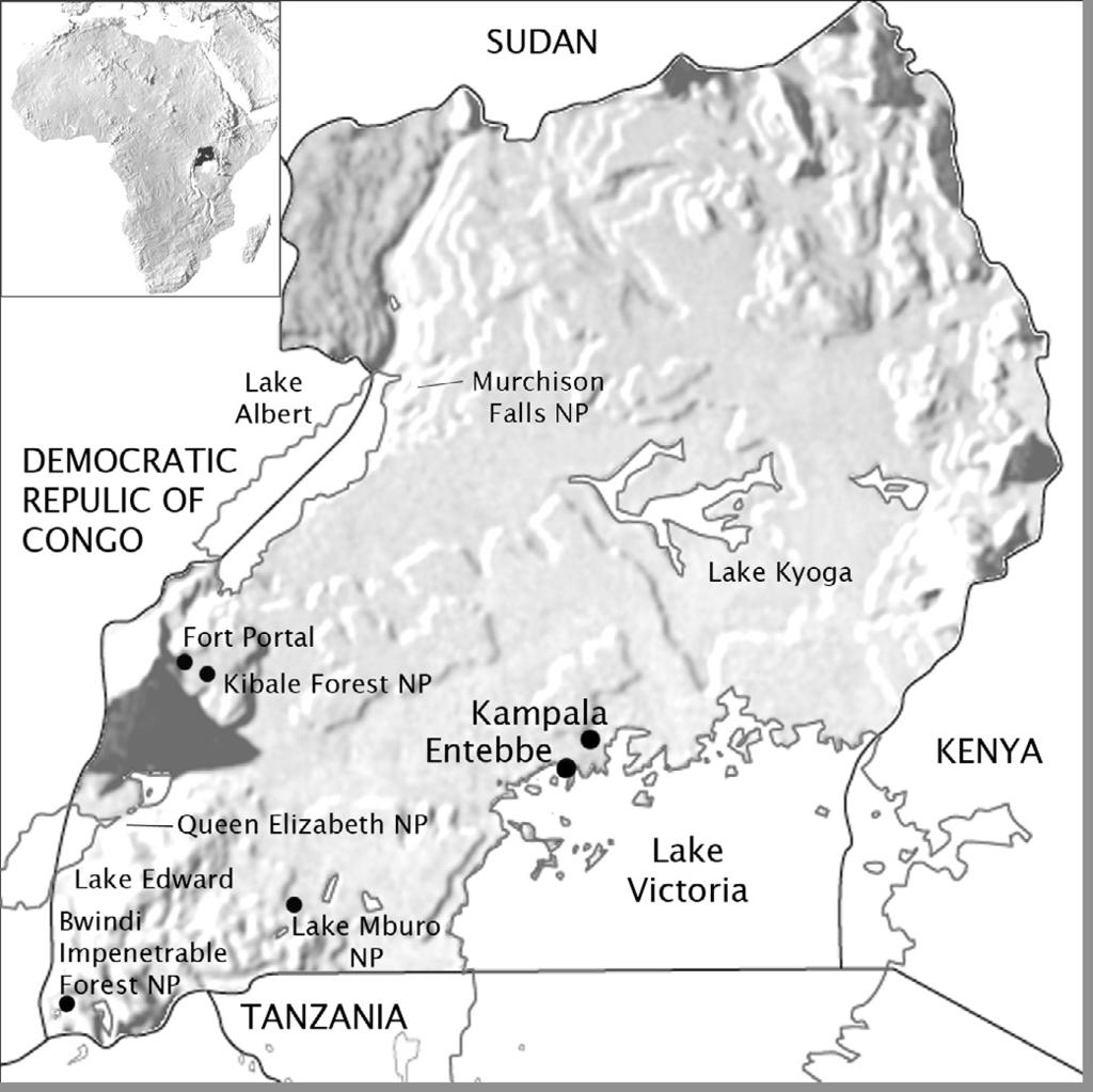 Here the ancient kingdoms of Buganda, Bunyoro and Ankole flourished long before the first European explorers came in search of the source of the Nile.