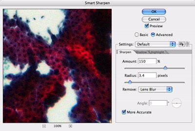 4 Use Smart Sharpen to correct blurred detail New in Photoshop CS2 is the Smart Sharpen filter, an advanced yet easy-to-use way to enhance detail that is often blurred in microscopic photography.