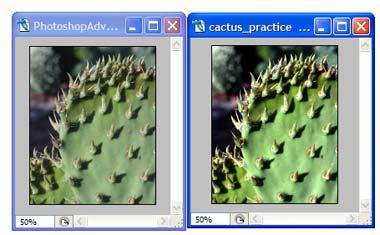 Figure 2-8: Before and after adjustment. 5. After completing the adjustment, close both files. The first tonal adjustment is complete for this image.