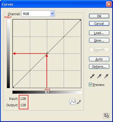 Figure 2-10: Detail of Curves dialog box.