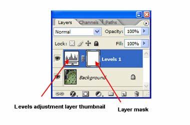 the complete image is selected. If you have an active selection when you create an adjustment layer, you'll see the selection in the layer mask icon.