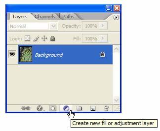 using Auto Levels from the Image menu. When you click the Options button, the Auto Color Corrections Options dialog box appears.