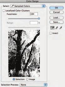 When you click on an area of your image with that eyedropper, all of the pixels of that particular tonal range become selected.