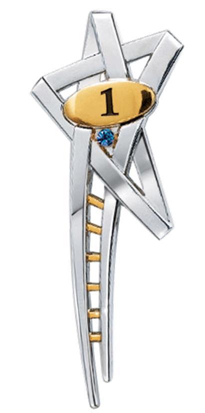 YOU will be awarded YOUR Ladder of Success Pin once YOU reach Star Consultant you first quarter. Each quarter you are a STAR you will receive the corresponding star charm!