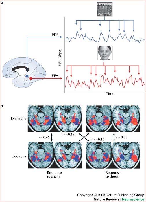 Parahippocampal Place Area Decoding mental states from brain activity in