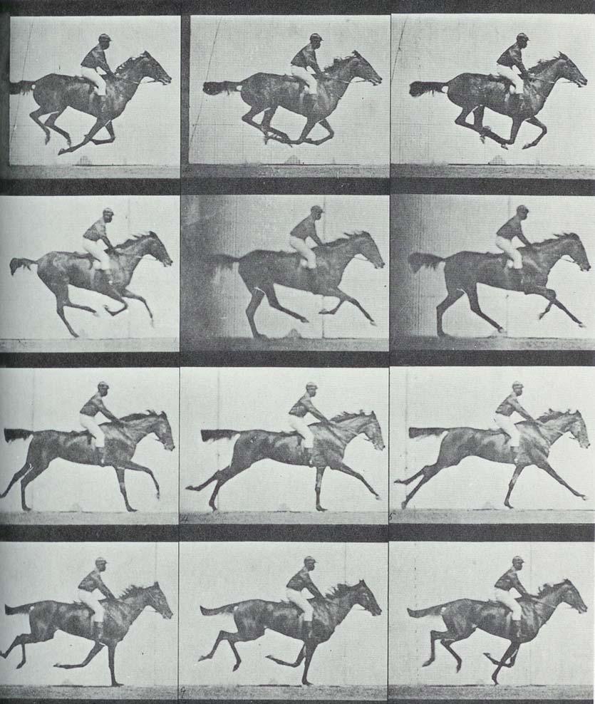 I often refer to the photographs of Eadweard Muybridge who took consecutive