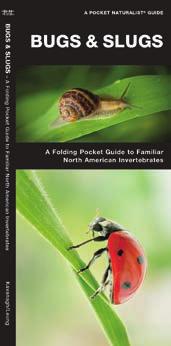 SPRING 2019 RELEASES POCKET NATURALIST GUIDES Bugs & Slugs, 2nd ed.