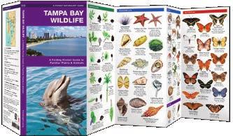 POCKET NATURALIST GUIDES Waterford Press is pleased to offer several titles to enhance travel to cities, parks and sanctuaries for the purpose of enjoying and learning about the natural world.