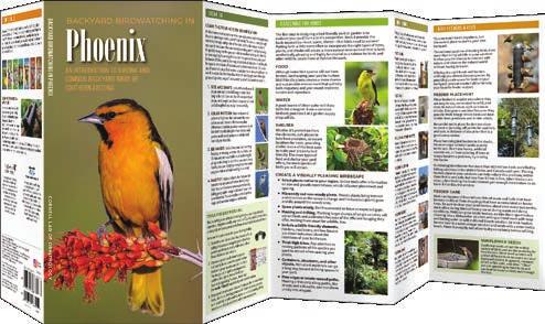 SPRING 2019 RELEASES ALL ABOUT BIRDS These six titles are all-in-one essential tools for urban and suburban residents who want to attract and