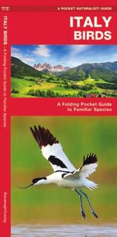 EDITION A Folding Pocket Guide to Familiar Species ISBN: