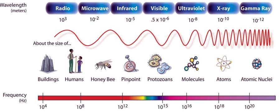 LIGHT Light is part of the electromagnetic spectrum, which ranges from radio waves to gamma rays.