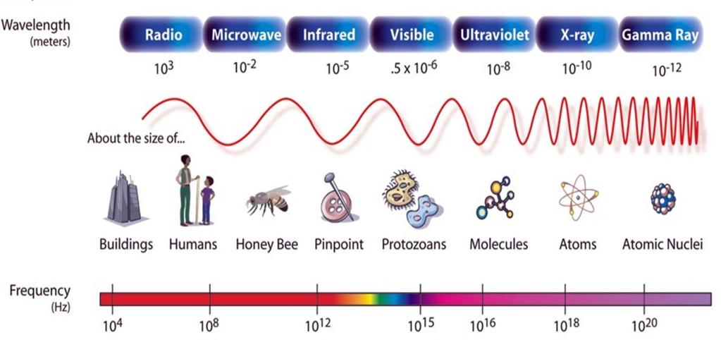 HOMEWORK In the electromagnetic spectrum, which ranges from radio waves to