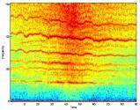 Most current approaches rely on instantaneous spectral features such as those derived from harmonically related spectral lines.
