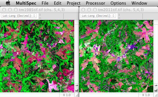Figure 2: Landsat-TM images from two time periods summer 1985 (left) and fall 2011 (right). Green indicates healthy vegetation while bluish-white represents buildings.