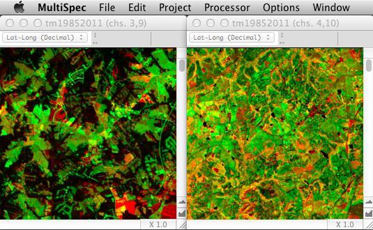 Note to Student: The resulting land cover change analysis image shows the red TM band from the earlier image as Red and the red TM band from the later image as Green.