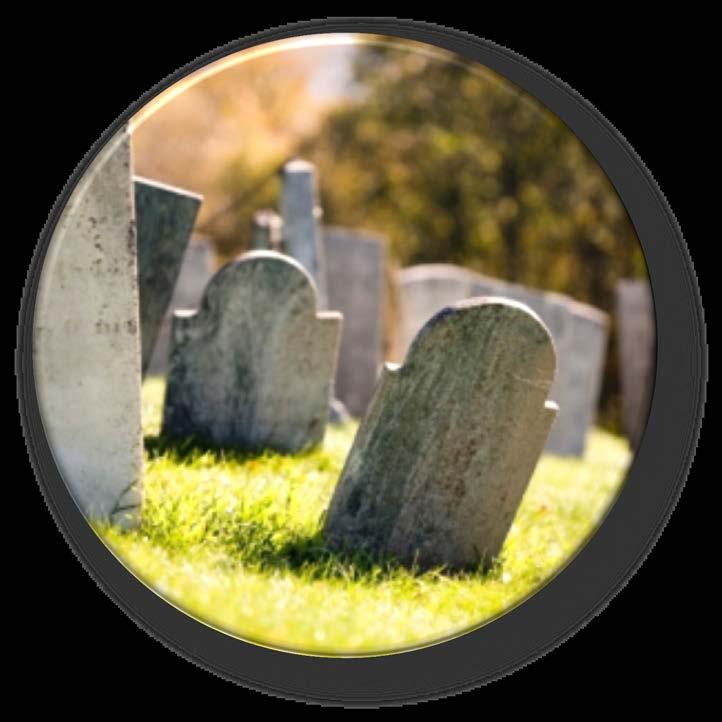 Records to search: Cemeteries Find dates of life events to research further Find cause of death Learn about military service Find names of family members, neighbors and
