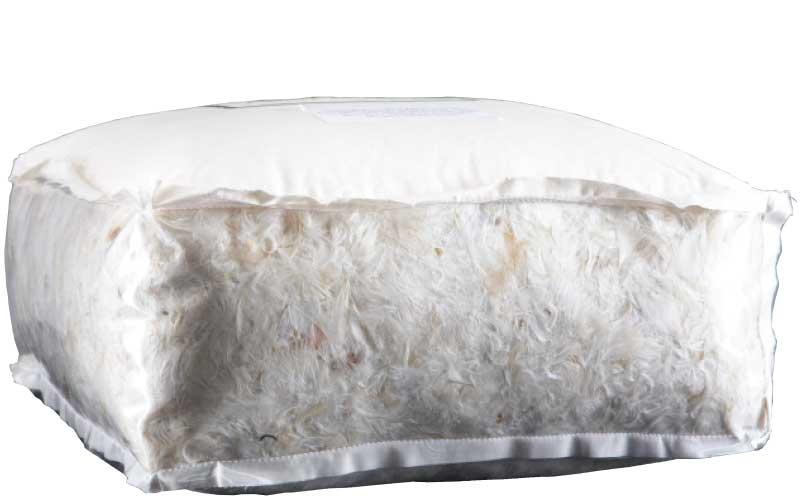 Ultra Down Back Combination of premium polyester fibers with feather down with a 50/50 blend in a cotton down proof ticking. Supreme Down Back The most plush and Eco-friendly pillow possible.