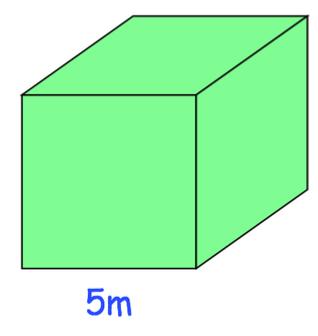 18th July 22 33 44 0.5% = Work out the volume of this cube.