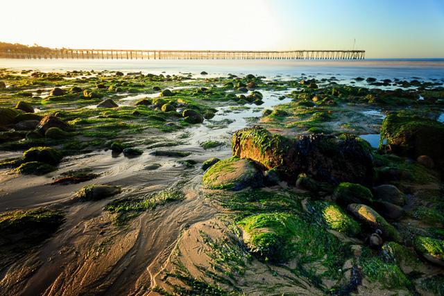 Photograph 3: Golden Rocks & Ventura Pier I created this picture in Ventura, California. The texture of the sand and moss-covered rocks was incredible.