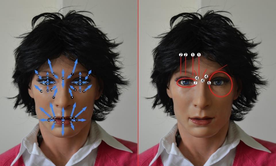 FACE: Facial Automation for