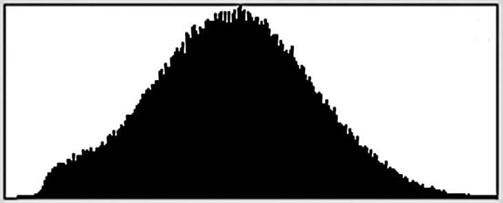The histogram looks something like a mountain and each mountain looks different for each picture depending on the light in the original scene.