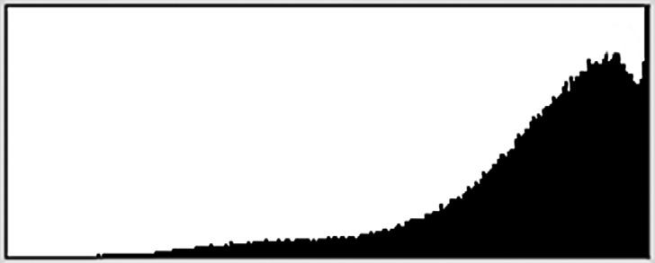 The tones are represented by a mountain that is in the center of the histogram.