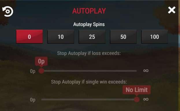 Stop Autoplay if loss exceeds: Sets the loss limit. This is a mandatory field and the player must enter a value. Without this value the player cannot initiate Autoplay spins.