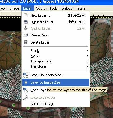 8. From the menu bar, select Layer > Layer to Image Size to give layer Arm Inseam