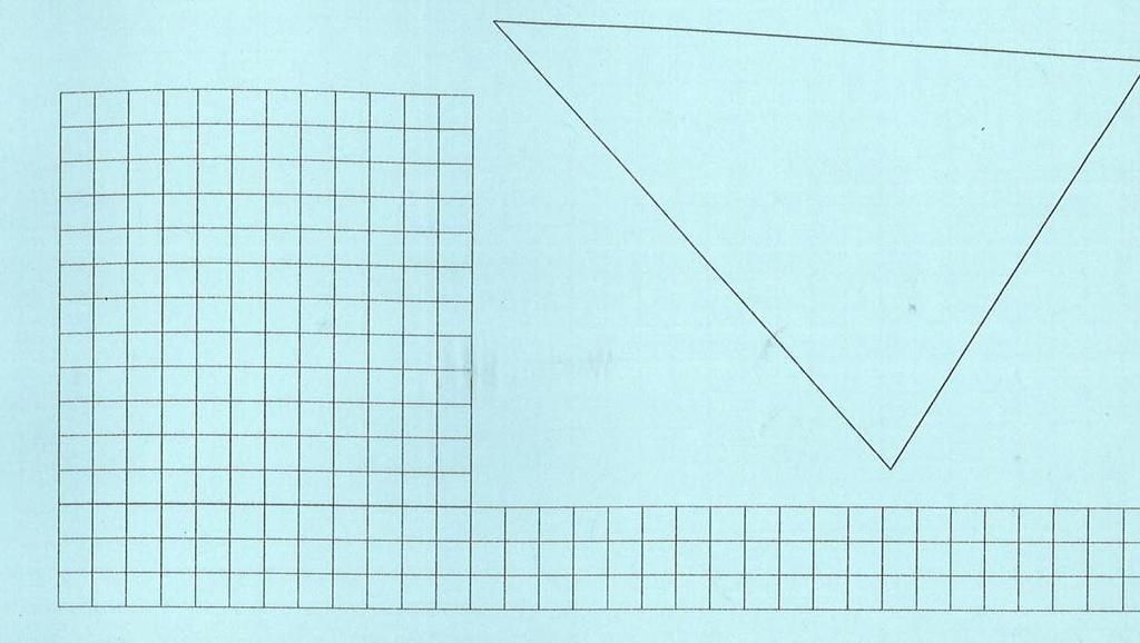 (ii) Noel and Sarah trace the triangle on the photograph onto a page to find it s area. Their drawing is shown here.
