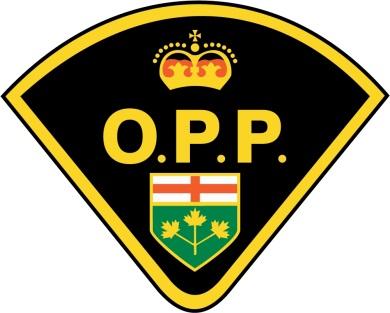 216 - Foot Patrol Hours - Haldimand County 216 Caledonia Cayuga Dunnville Hagersville Jarvis Selkirk Provincial Parks Total January 41.