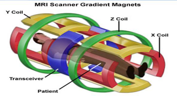 g a n d d i c i n g ) 2D skin shaped tumor study 3 gradient magnets X, Y and Z, axis 3D spatial, volume tumor study 3 gradient magnets X, Y Z axis SFCO technology based MRI much