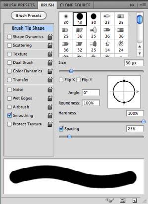 Brushes Panel Transfer Angle/Roundness Adjust these settings for more calligraphic strokes.
