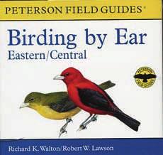 Guides 5-Adult More Birding by Ear - Peterson Field Guides