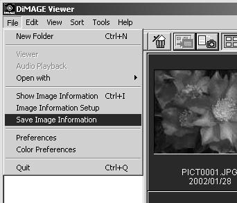 The information displayed in the window may vary between camera models. Recording data is contained in an exif tag attached to the image file.