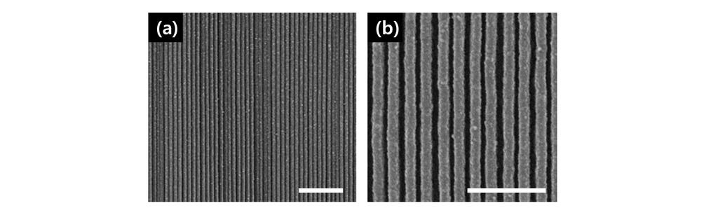 Scale bars in (a) and (b) indicate 1µm and 500nm, respectively. Another method can be used to release nanowire array with perfect alignment as follows.