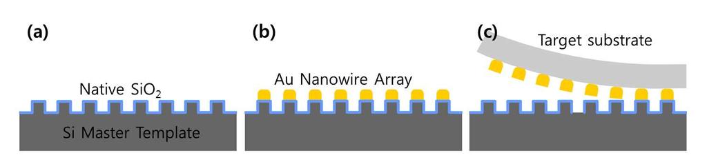 nanowire transferred onto a sticky tape, respectively.