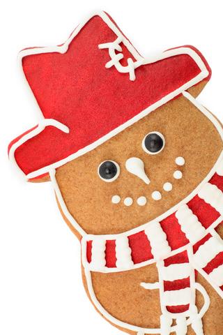 Easy Gingerbread Cookie Ornament Recipe (Makes 6 ornaments not for eating!) 1/2c Applesauce 1/2c Cinnamon 2T Household glue 1. Mix all ingredients together and roll on wax paper to 1/4-inch thickness.