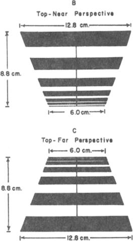 The condition illustrated by 8 in Fig. 3 will be called the top-near perspective, and the conditions illustrated by C in Fig. 3 will be called the top-far perspective. According to Eq.
